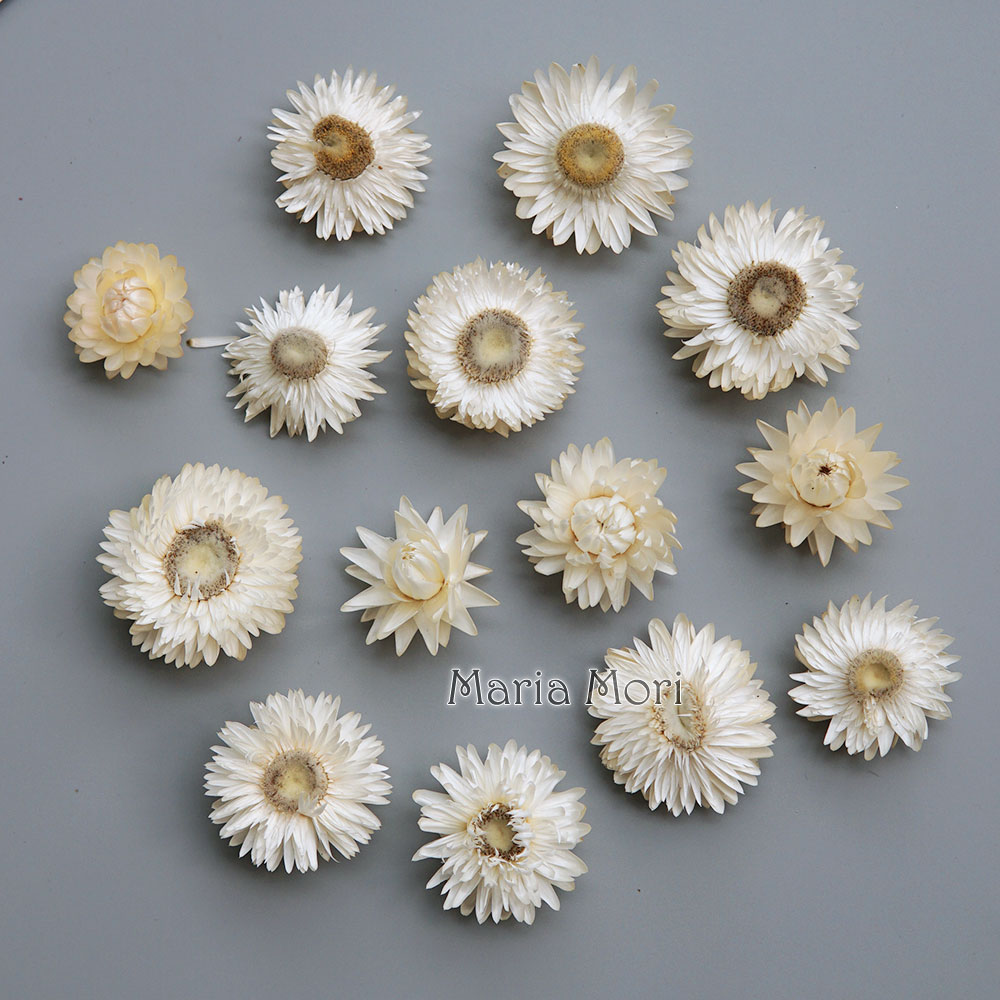 Hair Care Nature - Natürlicher getrockneter bunter Chrysanthemenkranz, handgefertigter Haarschmuck,